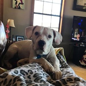 Meet your Posher, Joni